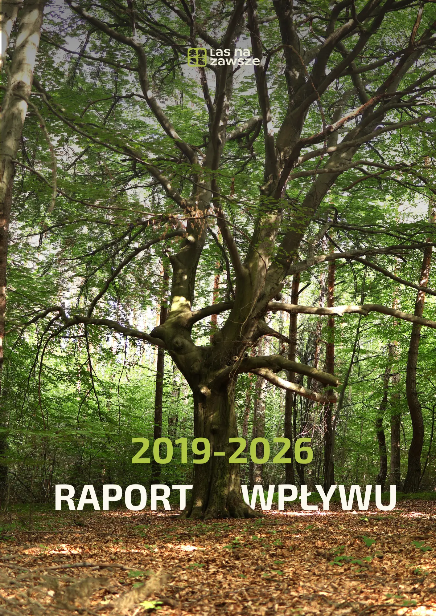 Okładka raportu wpływu 2019–2024