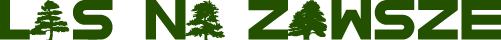 Fundacja Las Na Zawsze
